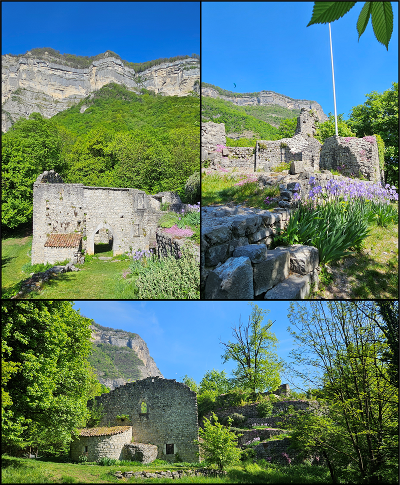 montage photos chateau montfort