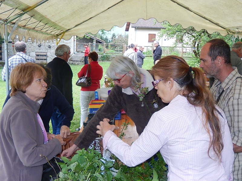 Troc plantes 2015