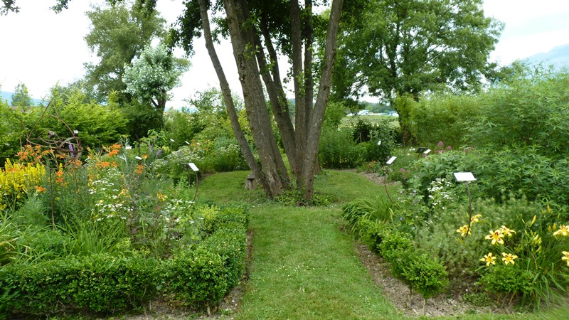Le jardin en 2014